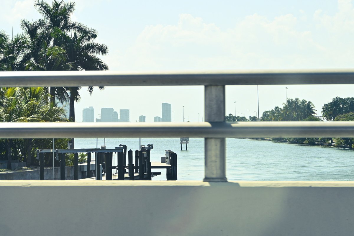 DSC_2656a