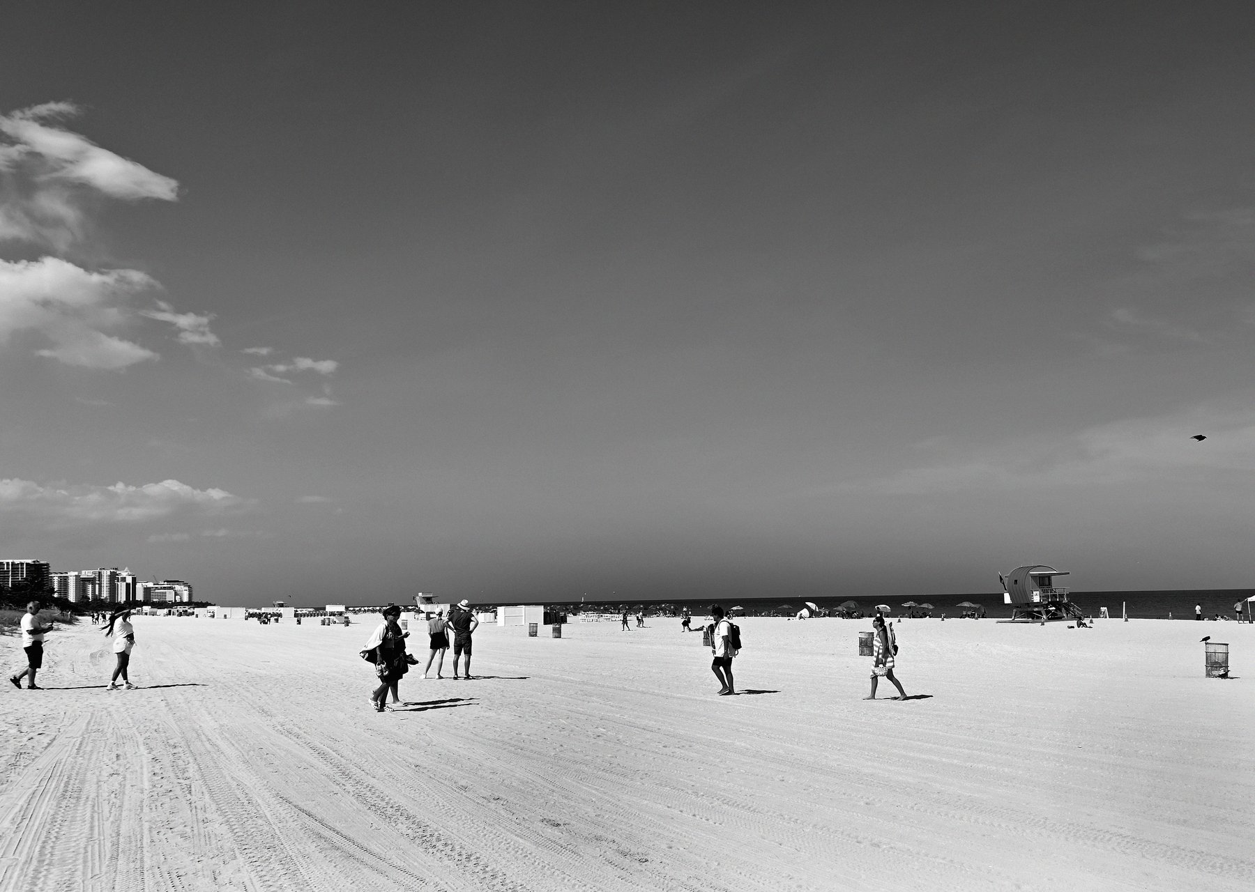 DSC_2688a