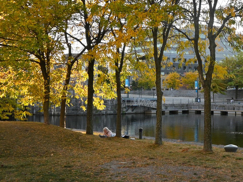 DSC_3432