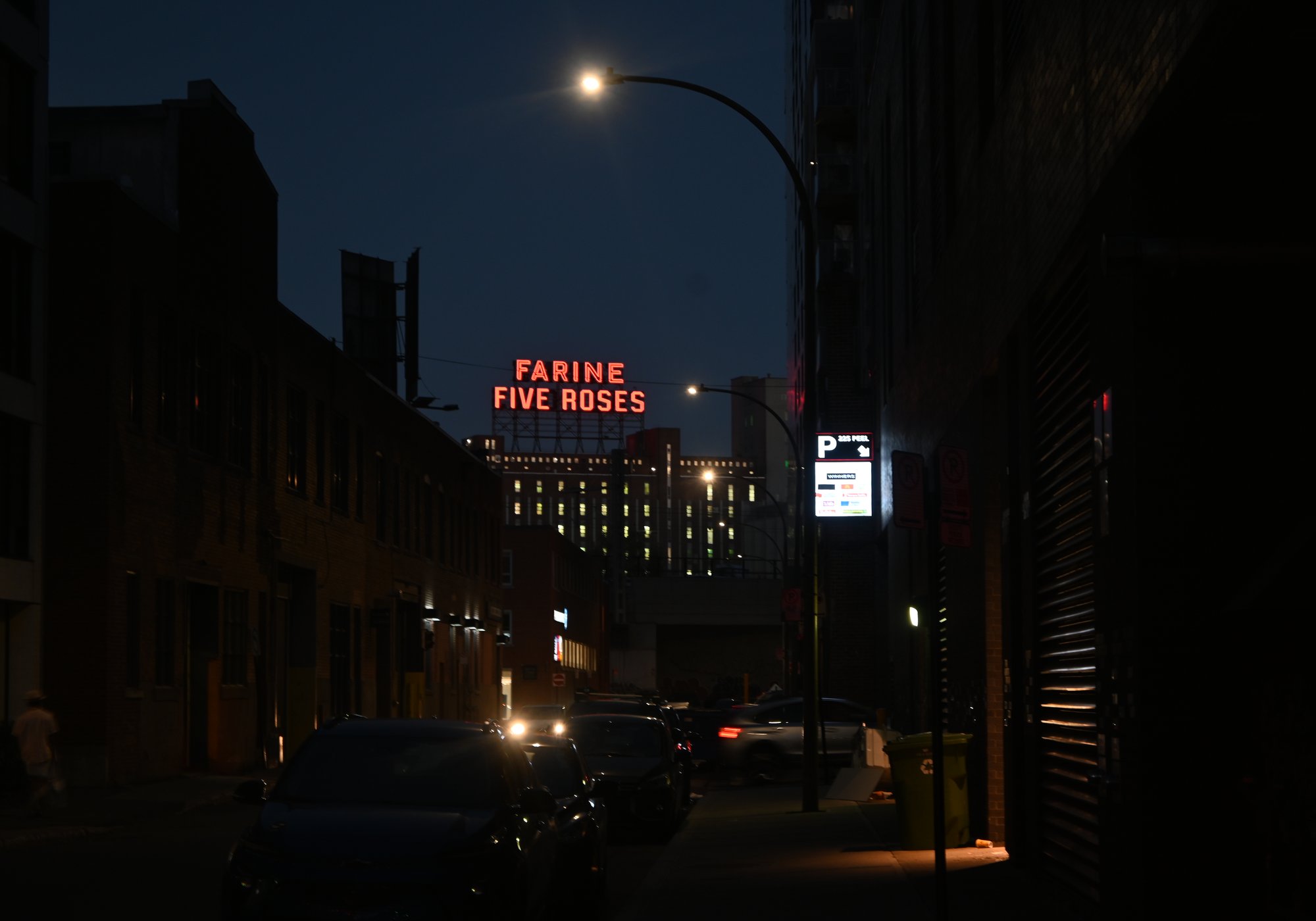 DSC_3946