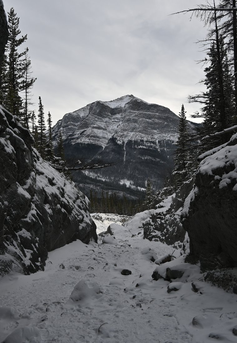 DSC_4899