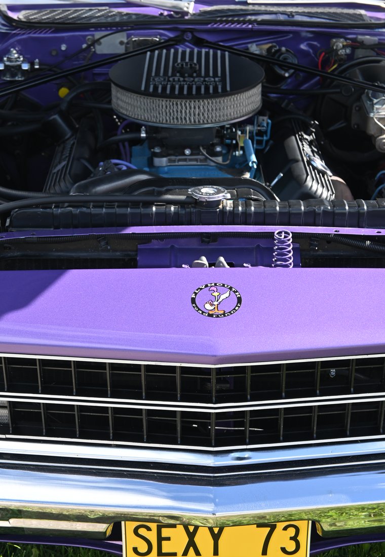DSC_8655