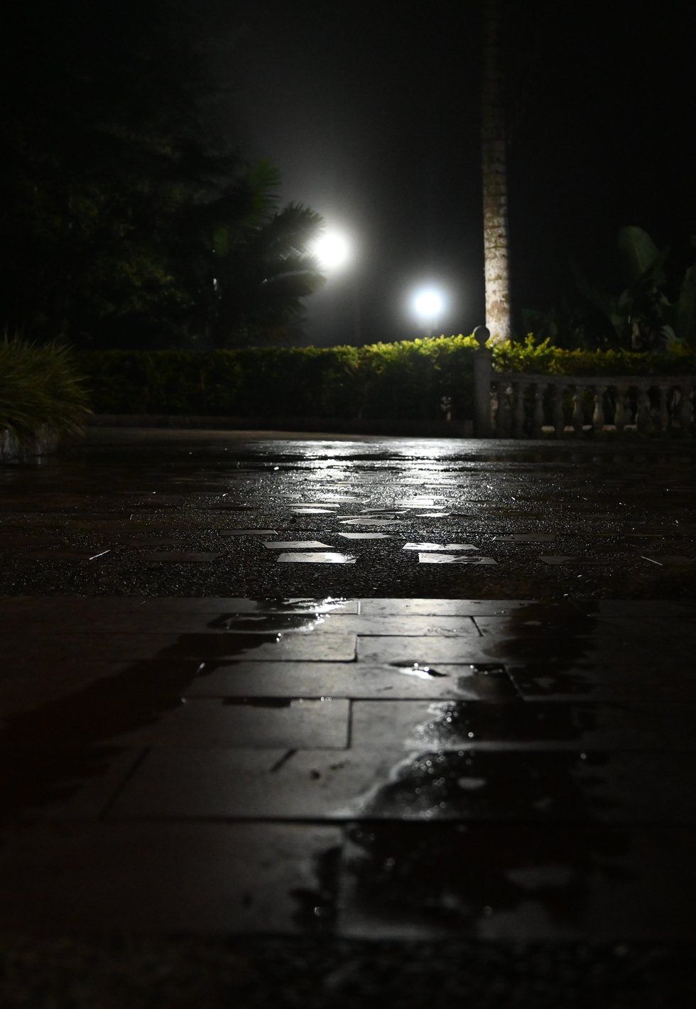 DSC_9283